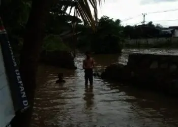 Tanggul Jebol, Desa Terendam Banjir, Ratusan Ribu Bibit Ikan Lele Hanyut