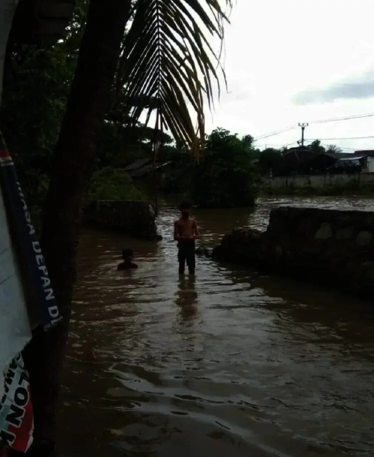 Tanggul Jebol, Desa Terendam Banjir, Ratusan Ribu Bibit Ikan Lele Hanyut