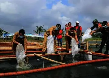 Ribuan Benih Ikan dan Bibit Tanaman Dibagikan ke KWT