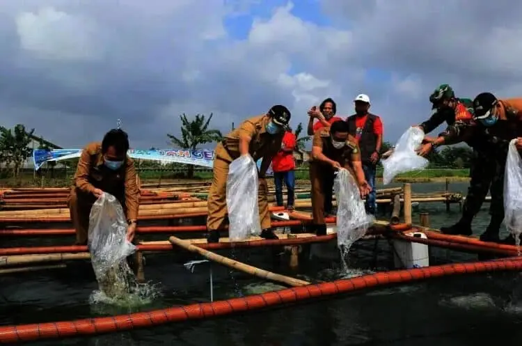Ribuan Benih Ikan dan Bibit Tanaman Dibagikan ke KWT
