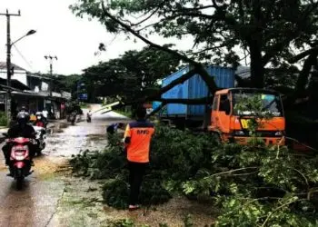 Kontainer Tabrak Dahan Pohon, Jalan Raya Cirabit Sempat Macet