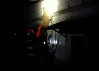Empat Sarang Tawon Diberangus Petugas Damkar Kota Tangsel