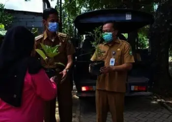 Masyarakat di Kota Tangerang Kembali Diberi Bibit Tanaman