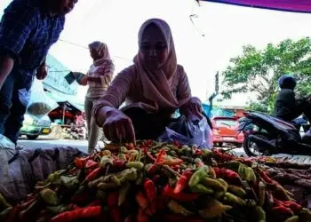 Gagal Panen, Harga Cabai di Kota Tangerang Mahal