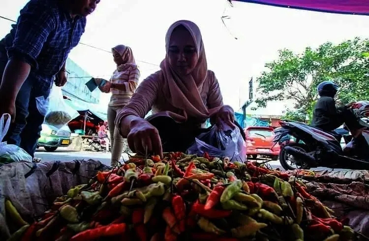 Gagal Panen, Harga Cabai di Kota Tangerang Mahal