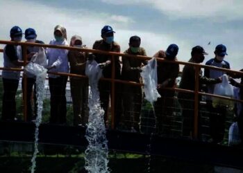 Wali Kota Airin Tanam Pohon dan Tebar Ikan di Situ Perigi