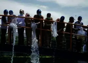 Wali Kota Airin Tanam Pohon dan Tebar Ikan di Situ Perigi
