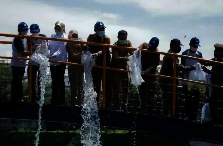 Wali Kota Airin Tanam Pohon dan Tebar Ikan di Situ Perigi