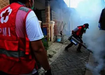 Pengasapan Fogging Untuk Mencegah DBD