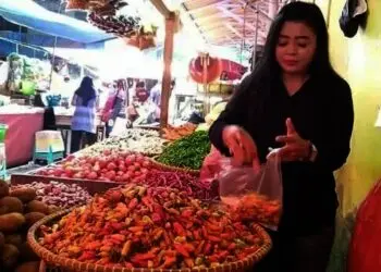 Harga “Cabai Setan” di Pasar Rangkasbitung Melebihi Harga Daging