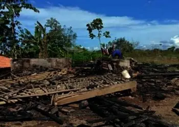 Ditinggal Pemiliknya, 1 Rumah Terbakar Jadi Arang