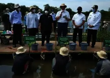 Empat Menteri Tanam Mangrove di Teluknaga Kabupaten Tangerang
