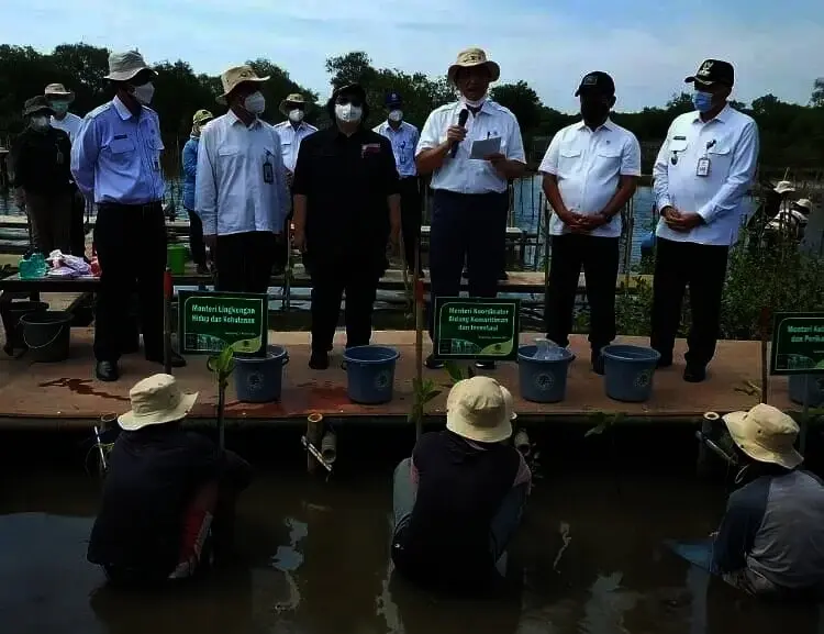 Empat Menteri Tanam Mangrove di Teluknaga Kabupaten Tangerang