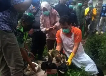 Bejat, Bayi Perempuan di Pandeglang Dibuang ke Selokan