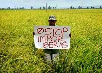 Merugikan Petani, Rencana Impor Beras Dikecam 