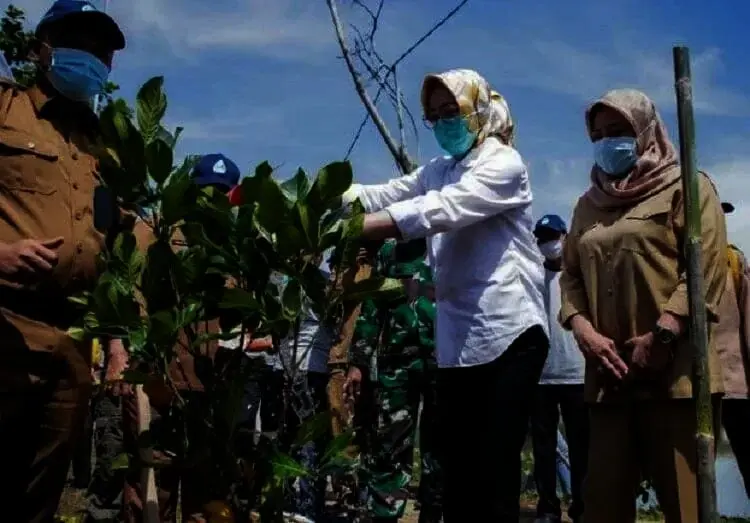 Zona Kuning Covid-19 di Kota Tangsel Turun jadi 243 RT