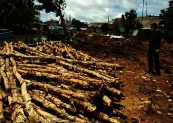 Pembangunan Kotaku Tanpa Kumuh Habiskan Rp17 Miliar