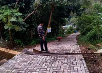 Jalan Poros Desa Giri Jaya Kabupaten Pandeglang Akhirnya Dibangun