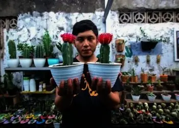 Hobi Tanaman Kaktus Membawa Untung