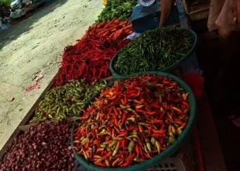 Harga Cabai di Kabupaten Tangerang Naik, Rp130 Ribu PerKg