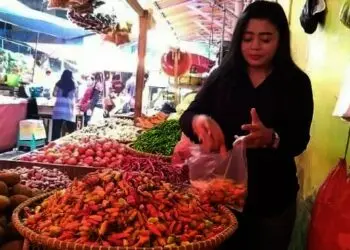 Cabai Rawit Setan di Rangkasbitung Tembus Rp 120 Ribu