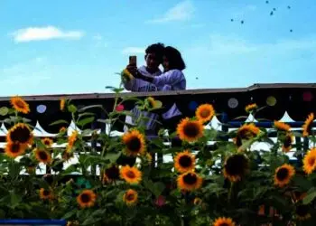 Menikmati Taman Bunga Matahari di Kabupaten Tangerang