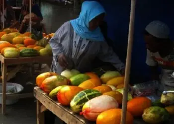 Petani dan Pedagang Timun Suri di Kabupaten Pandeglang Meraup Untung