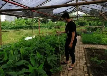 Kampung Saungkuriang jadi Paru-Paru Cipondoh