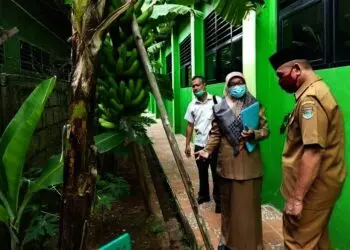 Butuh Kerja Keras dan Kekompakan Warga Sekolah, Pisang Ambon Bawa SMPN 1 Kemiri Raih Adiwiyata