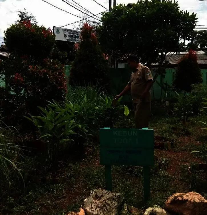 Butuh Kerja Keras dan Kekompakan Warga Sekolah, Pisang Ambon Bawa SMPN 1 Kemiri Raih Adiwiyata Butuh Kerja Keras dan Kekompakan Warga Sekolah, Pisang Ambon Bawa SMPN 1 Kemiri Raih Adiwiyata