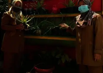 Sempat Vakum Selama Enam Tahun, SD “Gudang Balok” Kejar Adiwiyata Mandiri