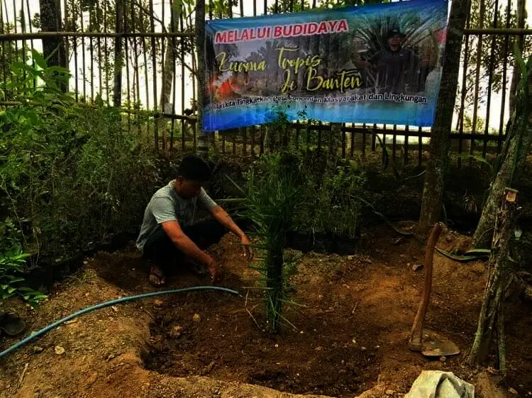 Eks Napiter di Banten Berlatih Budidaya Kurma
