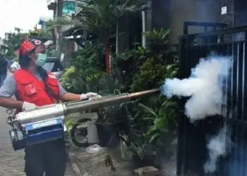 Pancaroba, Waspadai DBD, Dinkes Kota Tangerang Minta Gencarkan 3 M
