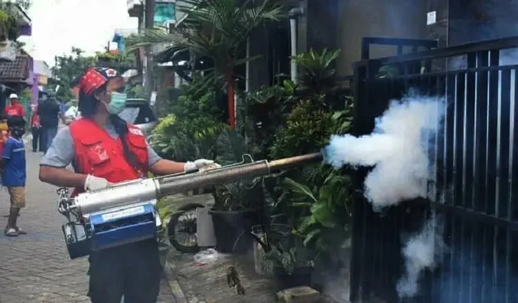 Pancaroba, Waspadai DBD, Dinkes Kota Tangerang Minta Gencarkan 3 M