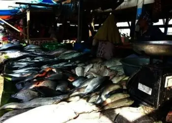 Pasokan Menurun, Harga Ikan Laut di Kabupaten Pandeglang Naik