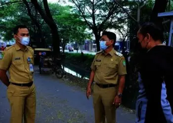 Sachrudin: Pangkas Pohon Rawan Tumbang