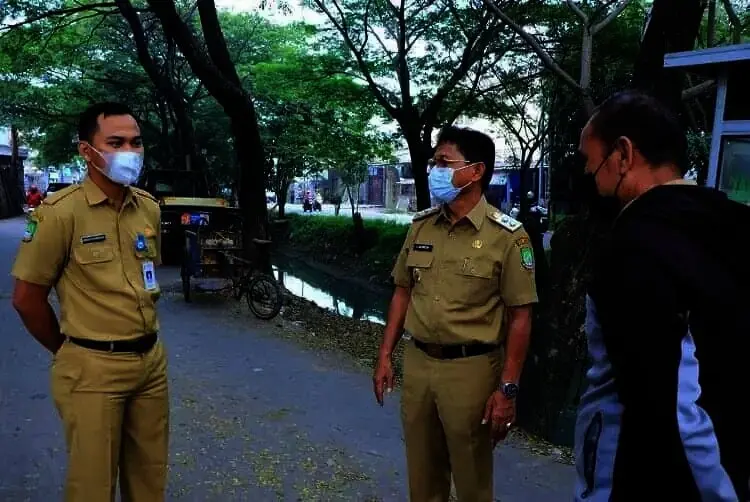 Sachrudin: Pangkas Pohon Rawan Tumbang
