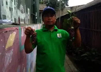 Tanaman Sempat Dipatahi Orang, Kini Sukses Bikin Kampung Tematik