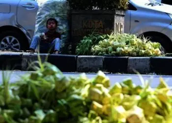 Pedagang Kulit Ketupat Musiman Jelang Qunutan Ramadan
