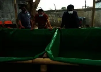 Manfaatkan Fasos-fasum, Warga Cimone Tangerang Ternak Lele