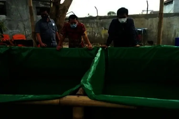 Manfaatkan Fasos-fasum, Warga Cimone Tangerang Ternak Lele