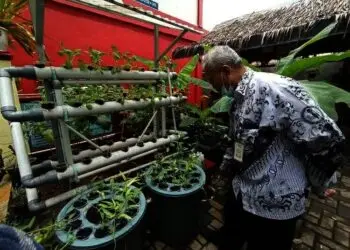 SDN Pinang 3 Mengejar Adiwiyata Mandiri, Berhasil Raih Piagam Adiwiyata Tingkat Nasional
