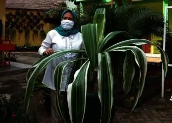 Raih Adiwiyata Mandiri Secara Persuasif, SMPN 1 Kelapa Dua Ajak Warga Sekolah Cinta Lingkungan