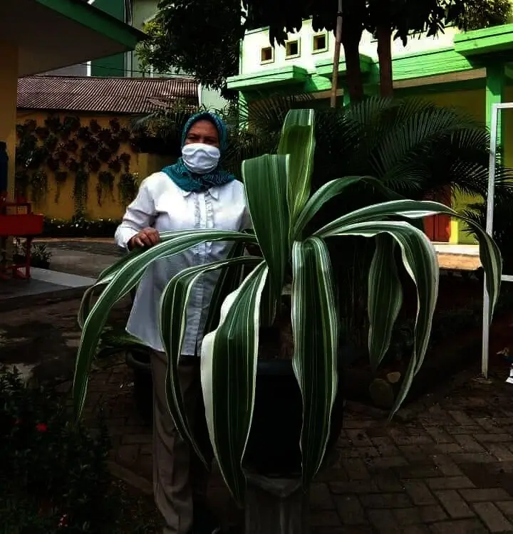 Raih Adiwiyata Mandiri Secara Persuasif, SMPN 1 Kelapa Dua Ajak Warga Sekolah Cinta Lingkungan