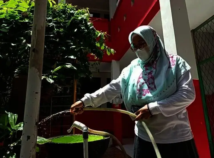 SDN Pinang 7 Kota Tangerang Menatap Adiwiyata Nasional