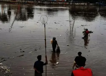 Warga Ramai-ramai Tangkap Ikan Mabuk di Neglasari Tangerang