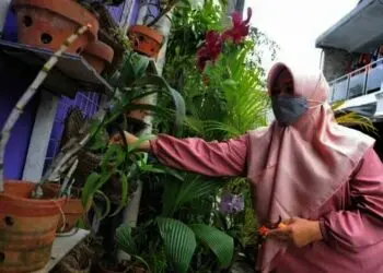 Kampung Anggrek Maksimalkan Potensi Sosial Ekonomi di Kota Tangerang