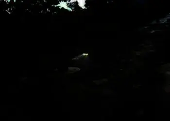 Warga Cadasari Pandeglang Dambakan Jalan “Mulus”