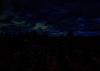 Jumlah Petani di Kabupaten Serang Terus Berkurang