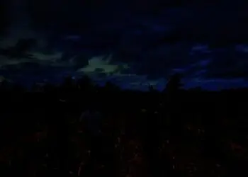 Jumlah Petani di Kabupaten Serang Terus Berkurang